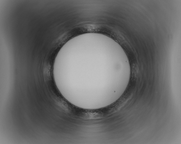 X0000111950650200908171319