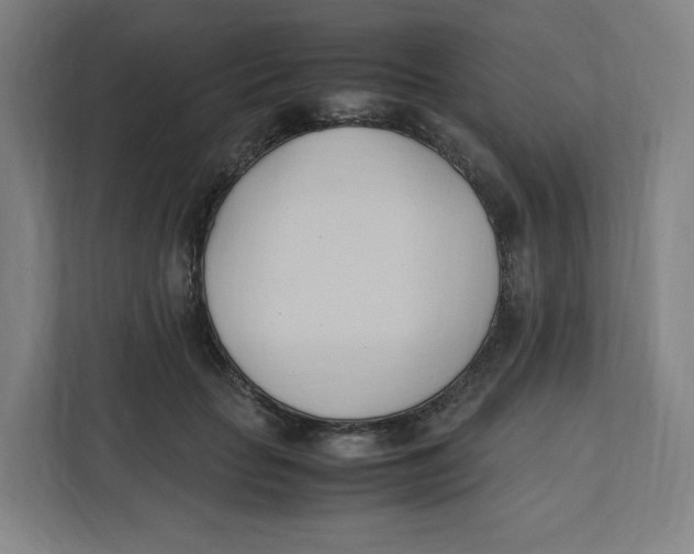 X0000111950653200908171319