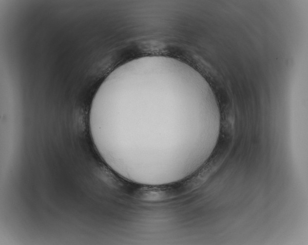 X0000111950658200908171319