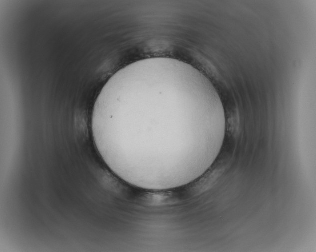 X0000111950662200908171319