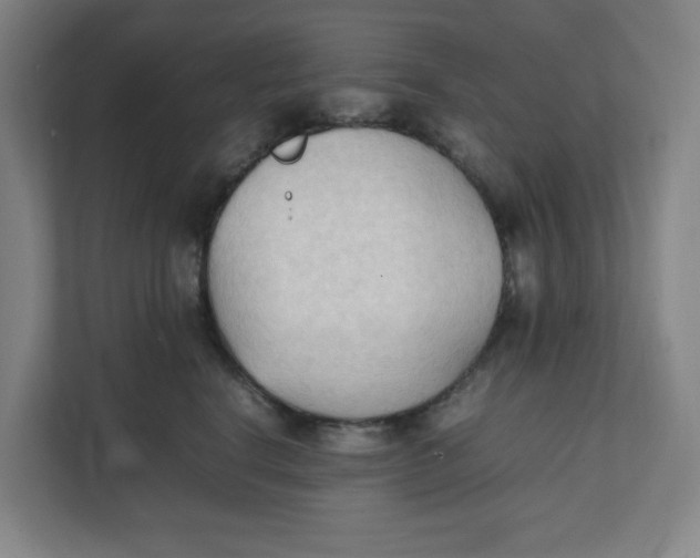 X0000111950664200908171319