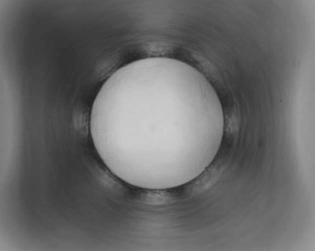 X0000111950666200908171319