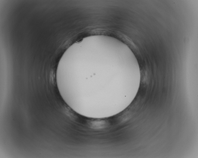 X0000111950669200908171319