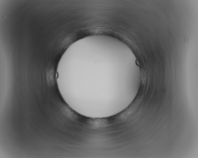 X0000111950670200908171319