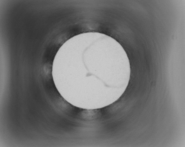 X0000111950672200908171319