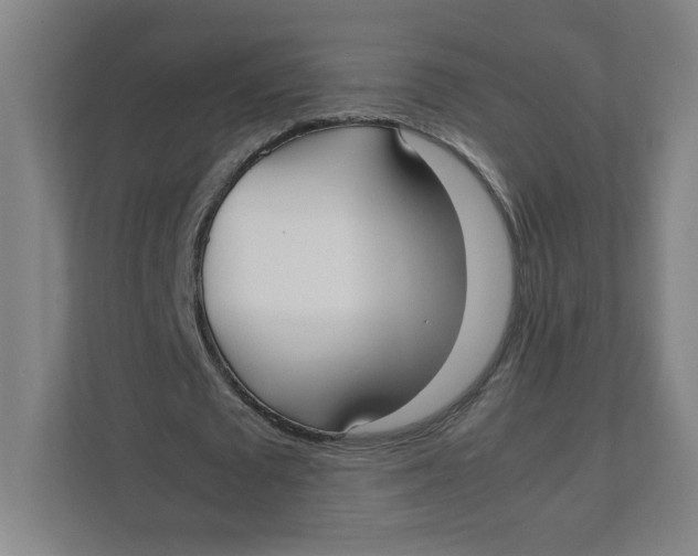 X0000111950673200908171318