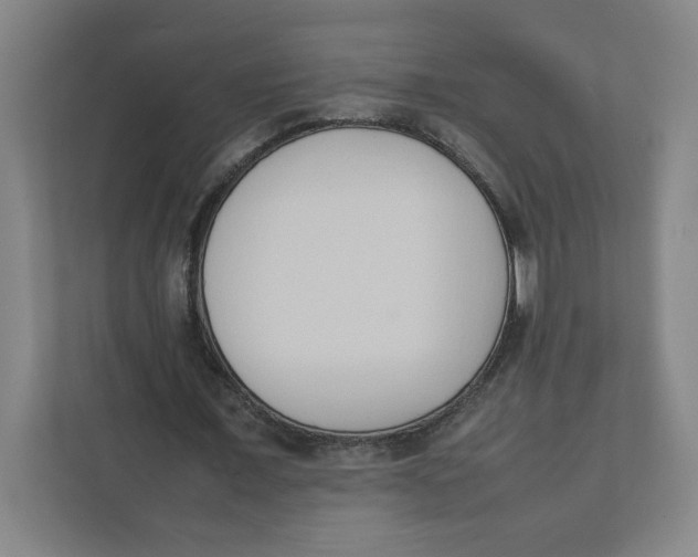 X0000111950675200908171318