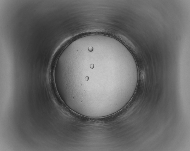 X0000111950676200908171318