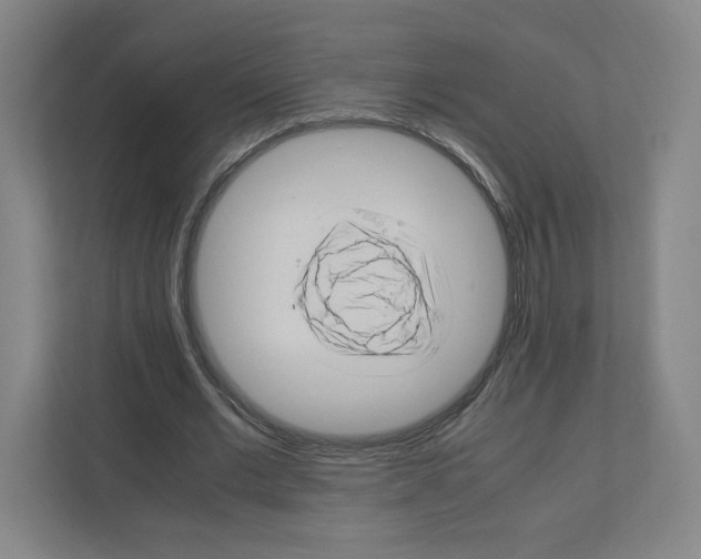 X0000111950677200908171318