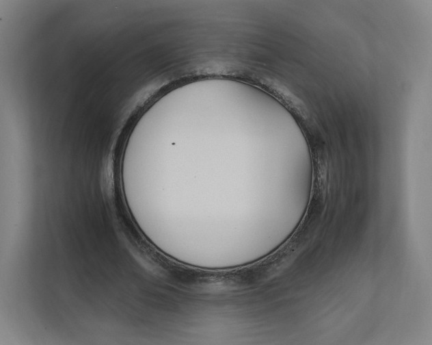 X0000111950678200908171318