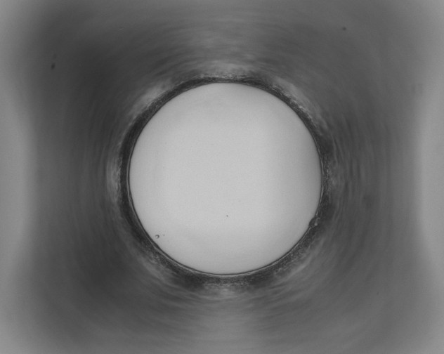 X0000111950679200908171318