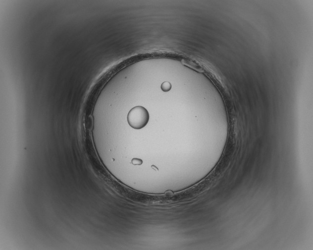 X0000111950680200908171318