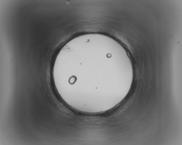 X0000111950681200908171318