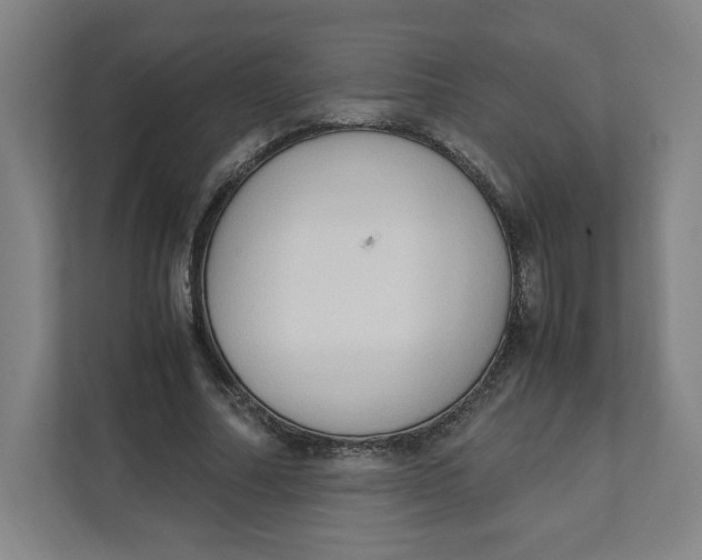 X0000111950682200908171318