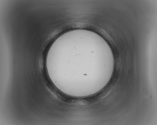 X0000111950683200908171318