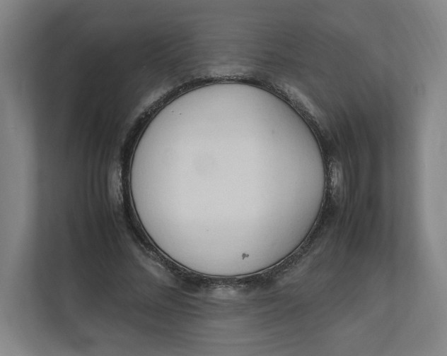 X0000111950684200908171318