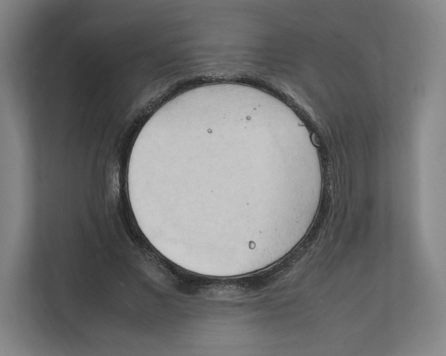 X0000111950685200908171318