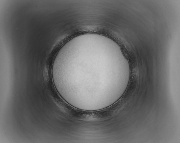 X0000111950688200908171318