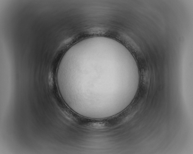 X0000111950692200908171318