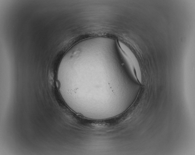 X0000111950693200908171318