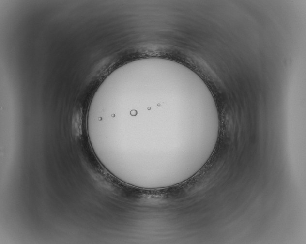 X0000111950694200908171318