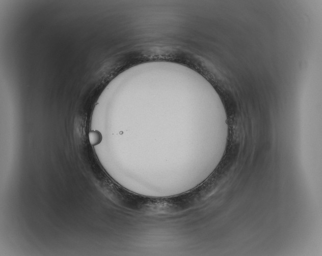 X0000111950695200908171318