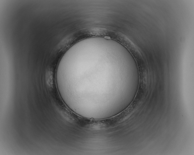 X0000111950696200908171318