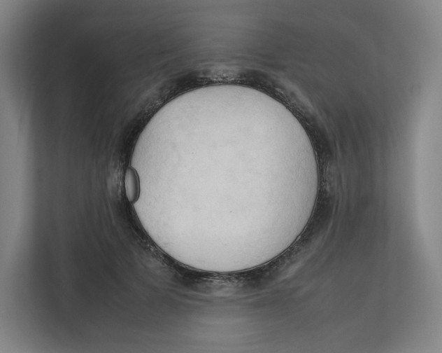 X0000111950697200908171318