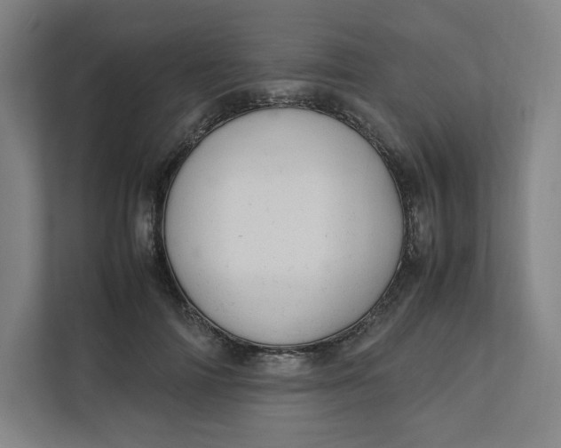 X0000111950698200908171318