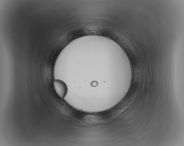 X0000111950699200908171318