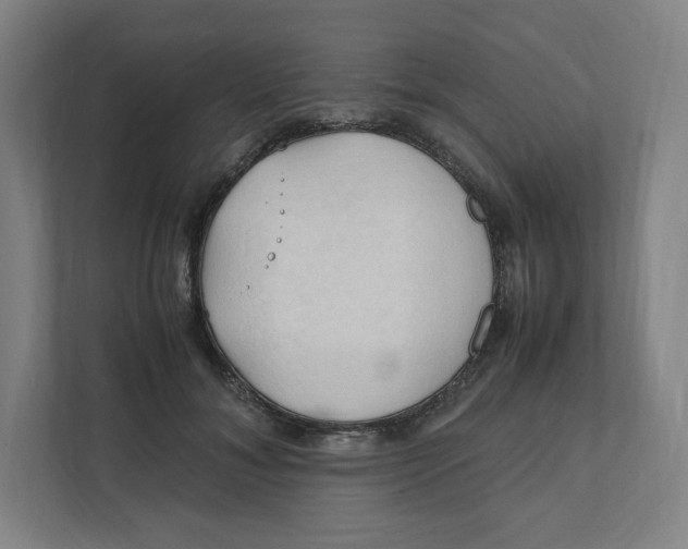 X0000111950700200908171318