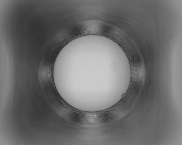 X0000111950701200908171318