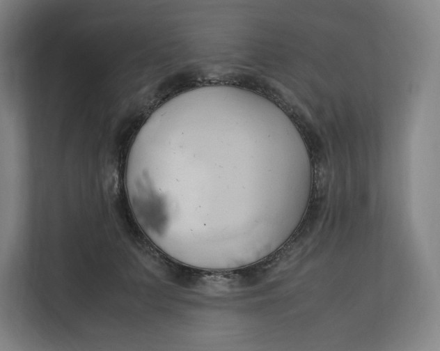 X0000111950703200908171318