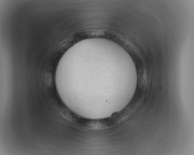 X0000111950704200908171318