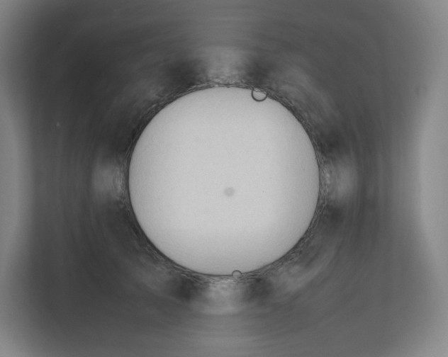 X0000111950705200908171318