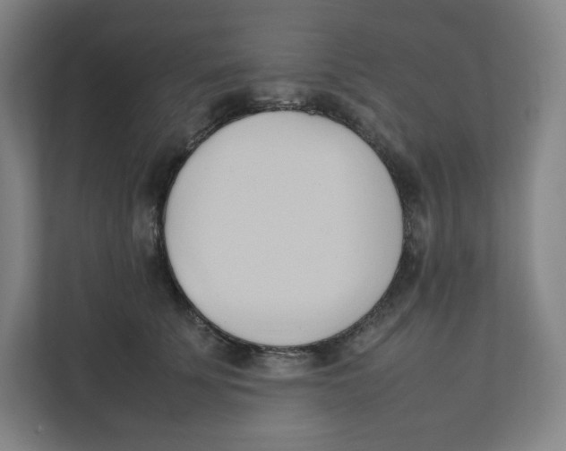 X0000111950707200908171318