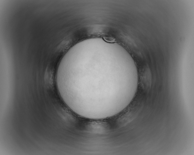 X0000111950708200908171318