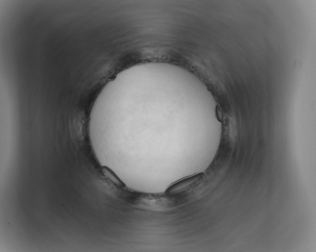 X0000111950712200908171318