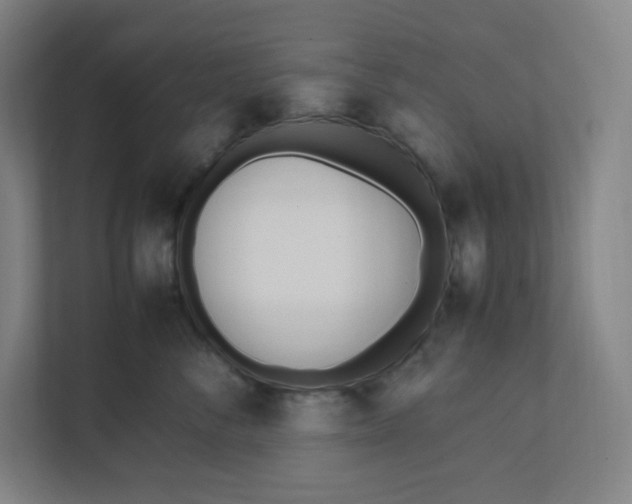 X0000111950716200908171317