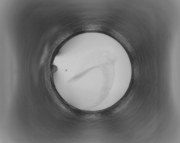 X0000111950721200908171317