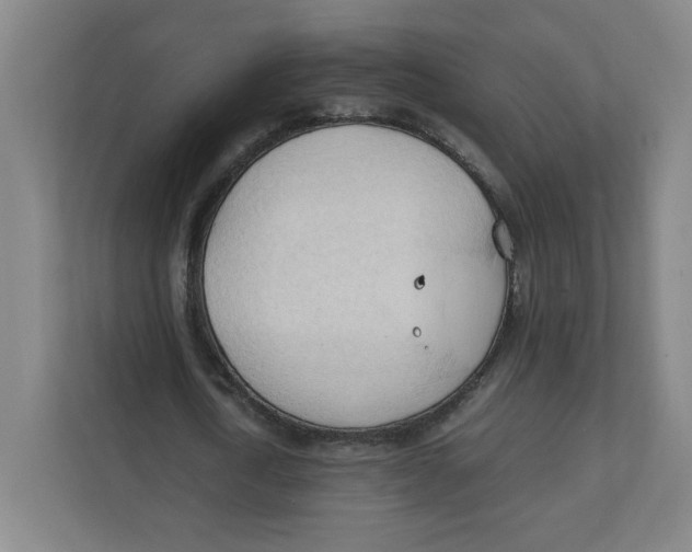 X0000111950722200908171317