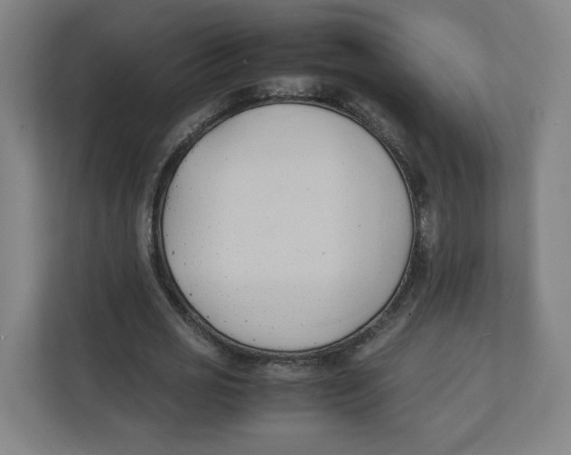 X0000111950725200908171317