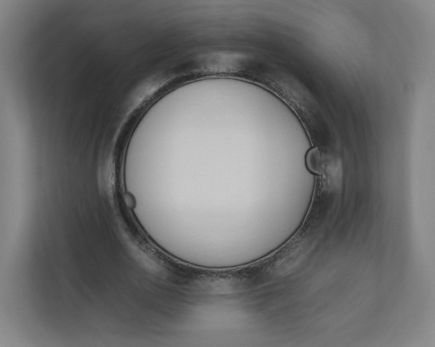 X0000111950726200908171317