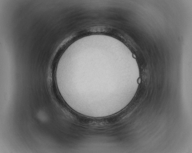 X0000111950727200908171317