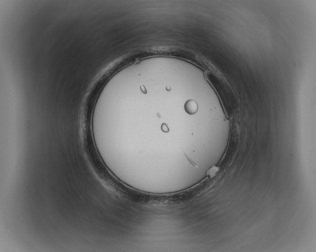 X0000111950728200908171317