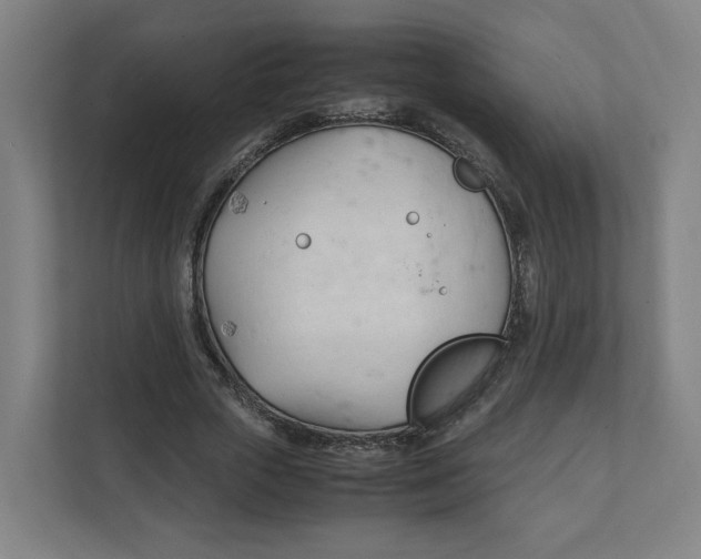 X0000111950729200908171317