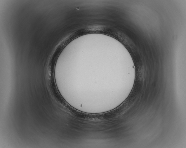 X0000111950731200908171317