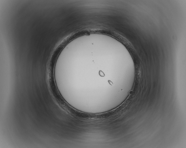 X0000111950732200908171317