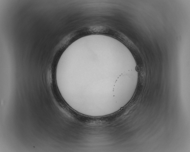 X0000111950734200908171317