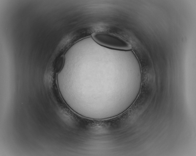 X0000111950736200908171317